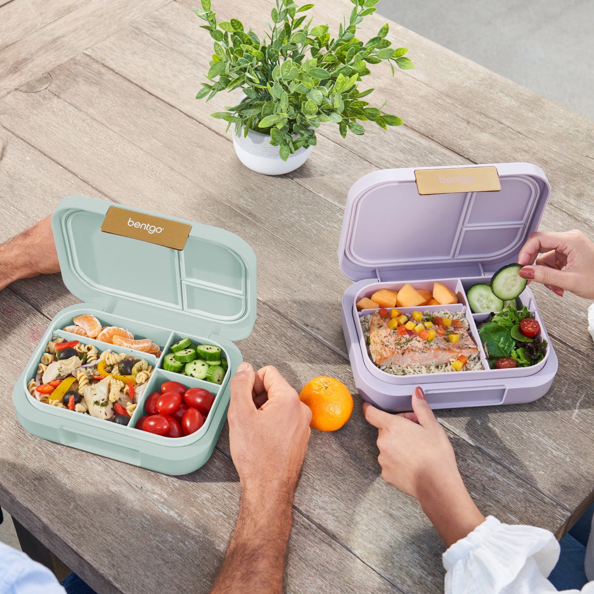bentgo-modern-lunch-box-2-pack-w7 COSTCOBMCPRODUCTIMAGE_2.jpg
